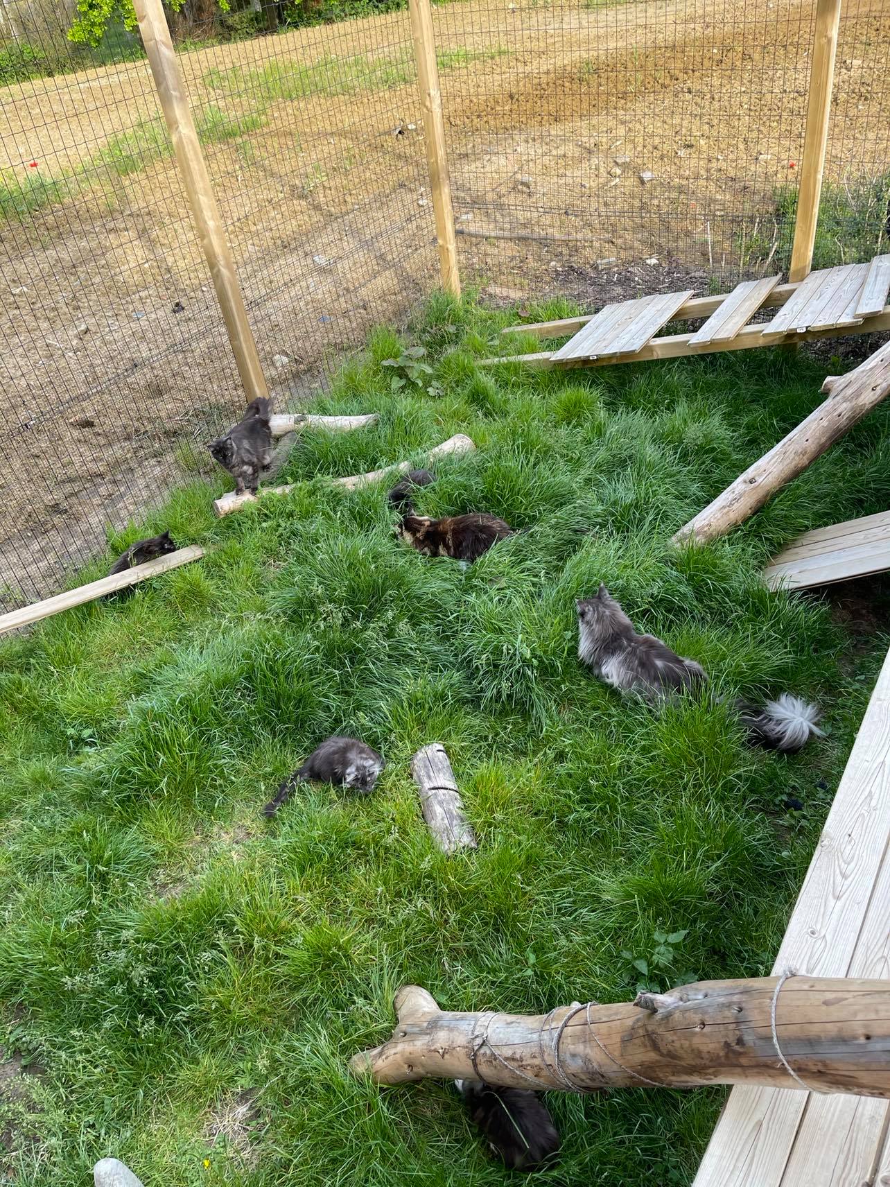 Aviary