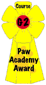 Show ribbon