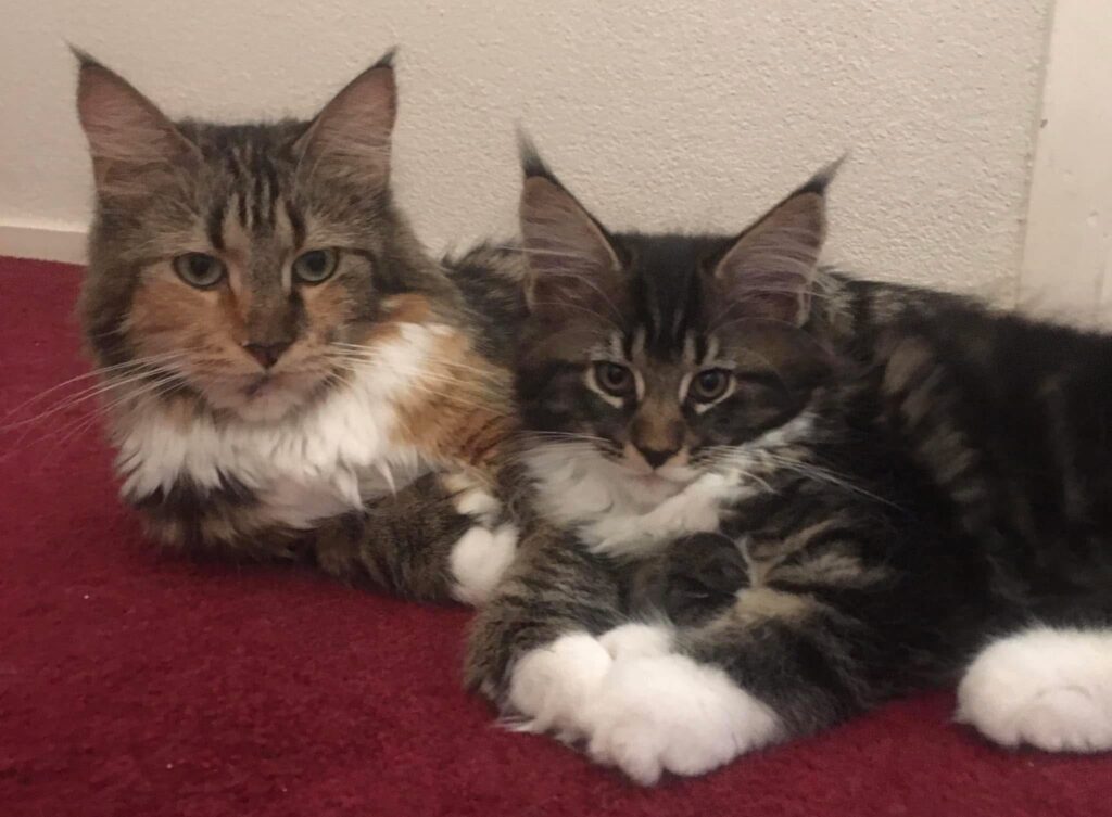 Mama with Monty