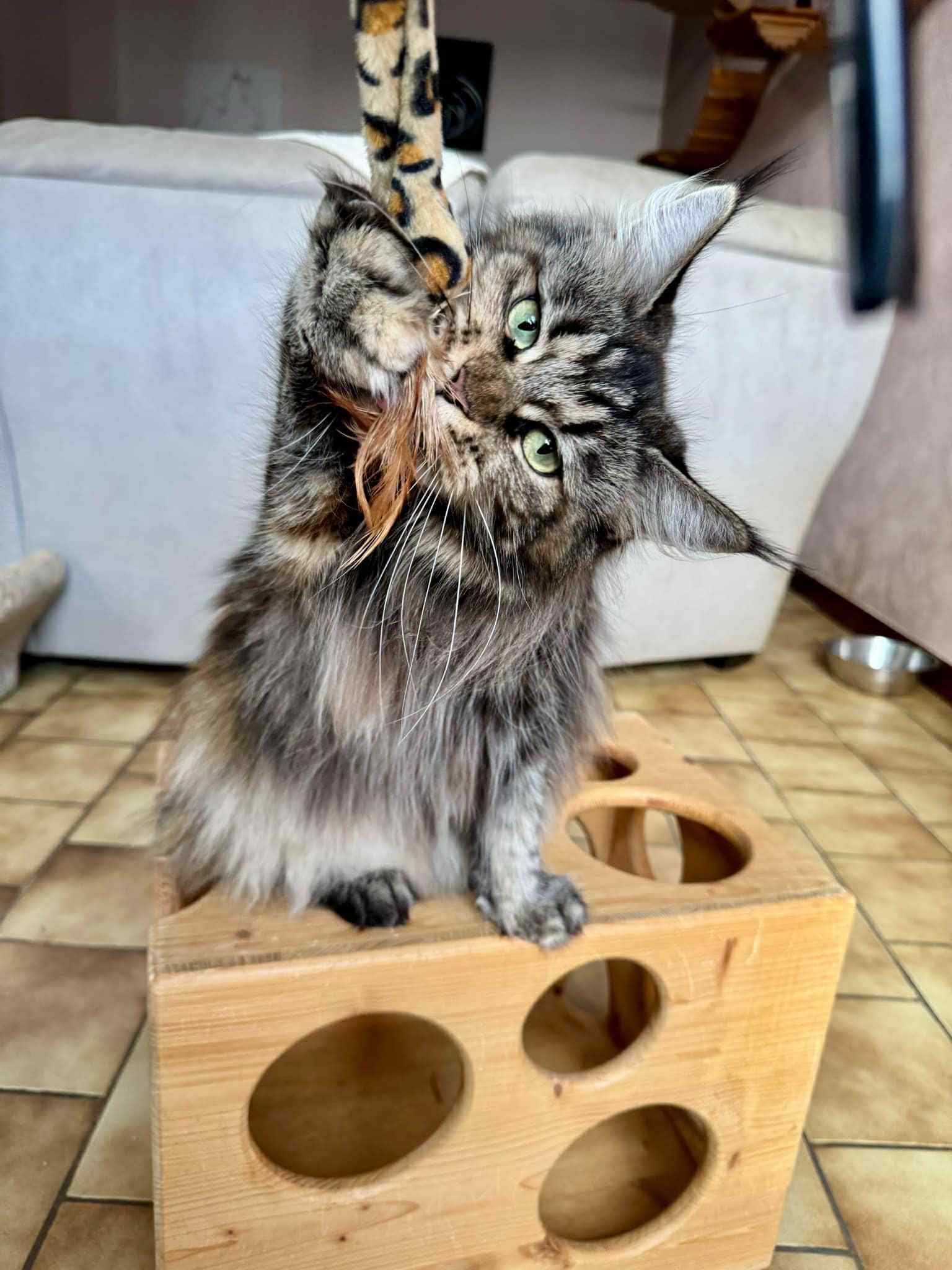 Playing