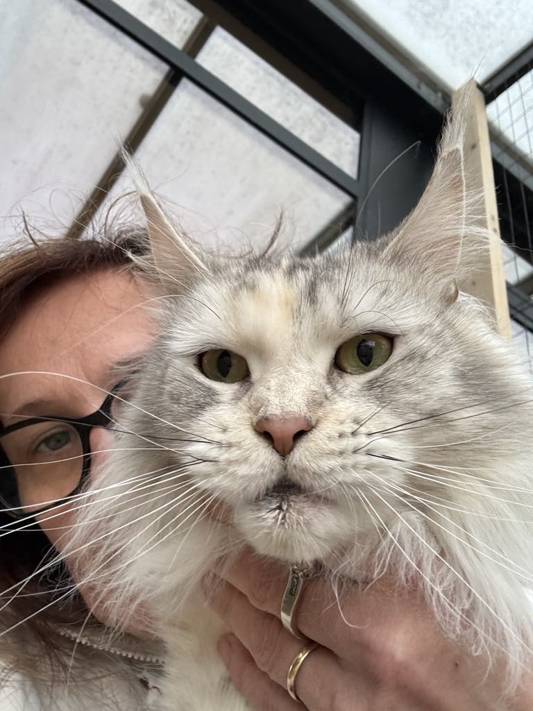 Pownee’s Princess