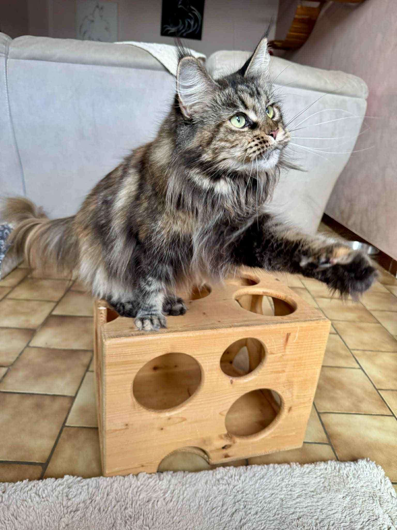 Playing